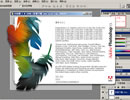 Adobe Photoshop CS 8.0 (jin)wİb(ע(c)̖(ho))